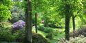 High Beeches Woodland and Water Garden