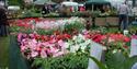 Hertfordshire Garden Show
