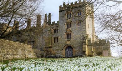 spring exterior entrance hall