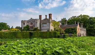 Mannington Estate