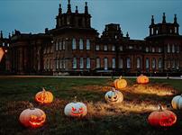 Halloween at Blenheim Palace, Blenheim Palace, Light Trail; Illuminated trail