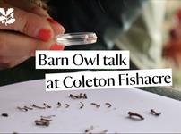 Barn Owl talk at Coleton Fishacre