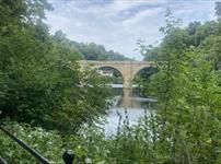 View of the riverbanks towards Prebends Bridge.