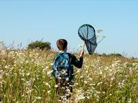Child in a wildflower meadow, on a bug hunt