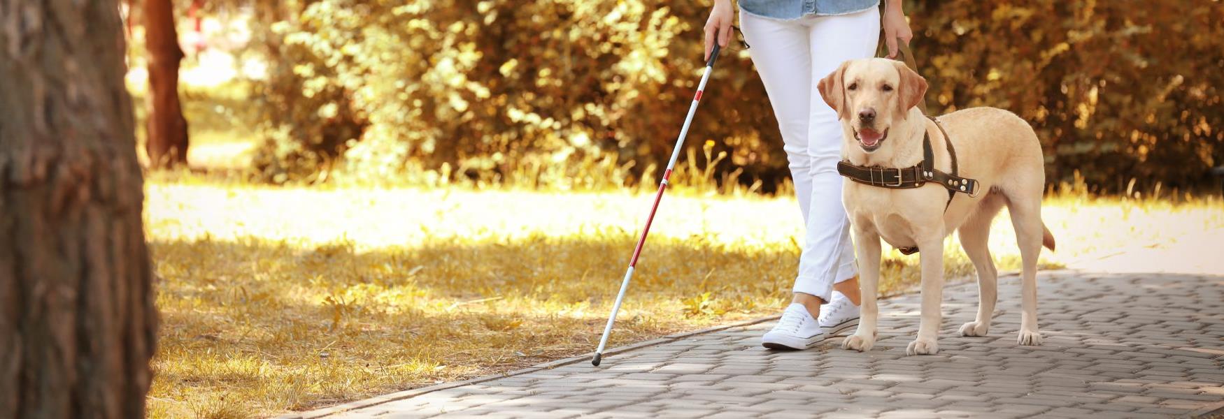 women and guide dog