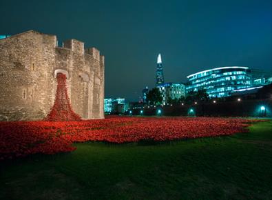 Poppies at Night, Tower of London |