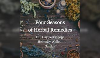 Four Seasons of Herbal Remedies -- Seasonal Workshops