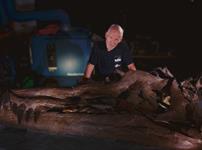 Dr Steve Etches MBE with Pliosaur Skull
