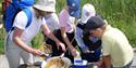 Pond dipping at Tyland Barn