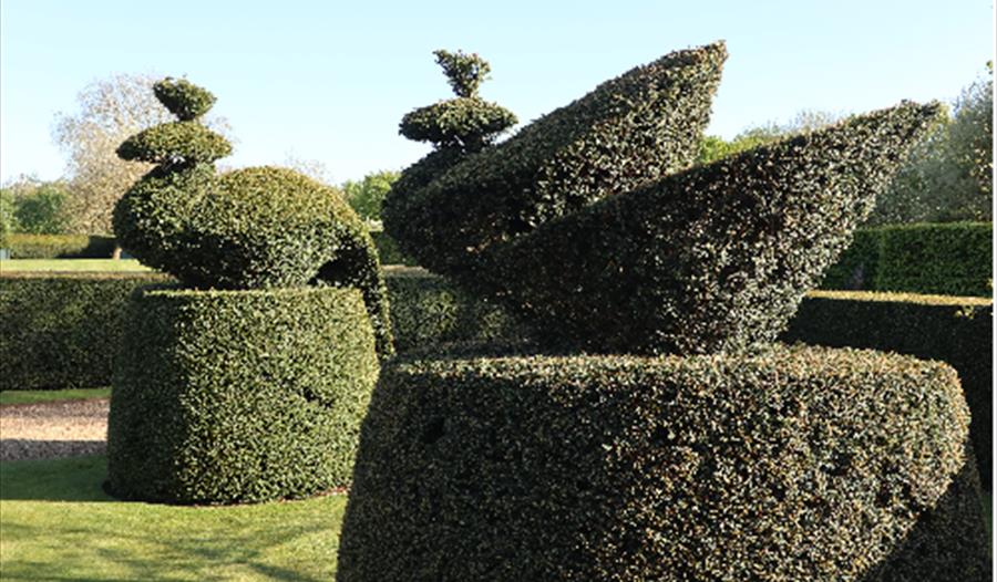 Elton Hall & Gardens - World Topiary Day