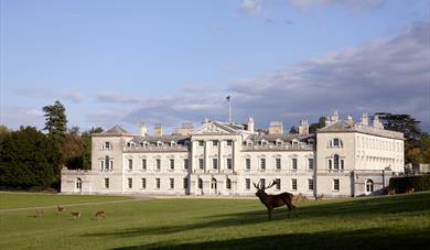 Woburn Abbey and Deer
