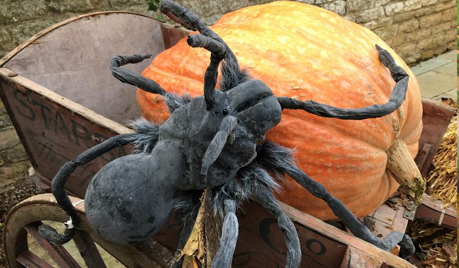 The Burghley Halloween Trail