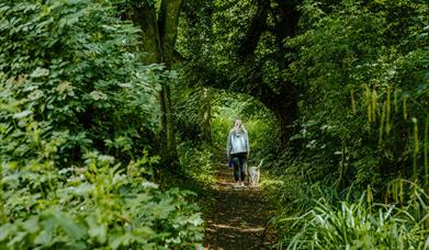 Bishopscourt Glen