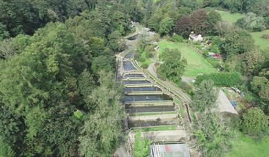 Aerial view of the Cornaa Fish Farm