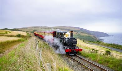 Steam Train