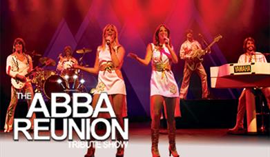 ABBA Reunion Tribute Show