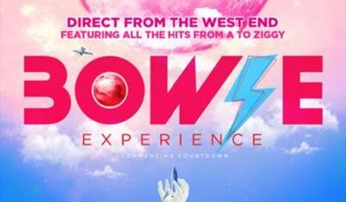 The Bowie Experience