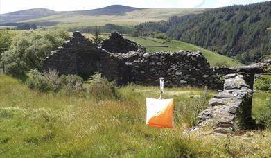 Orienteering Klubb Autumn Challenge Orienteering Event - Tholt y Will Forest & Glen Area