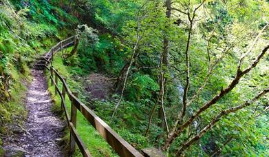 Railway Ramble: Dhoon Glen, Ballaragh, King Orry's Grave, Agneash, Laxey