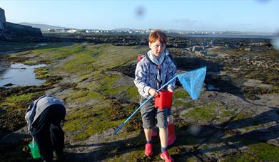 Beach Ranger