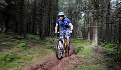 Mountain Biker riding in the plantation