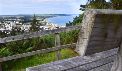 Railway Ramble: Ballure Reservoir & Plantation, Albert Tower, Ramsey Town