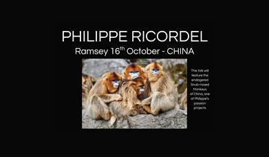 Philippe Ricordel - World Wildlife Photography