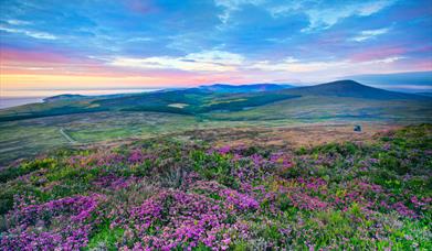 Evening Light on Cronk Ny Arrey Laa