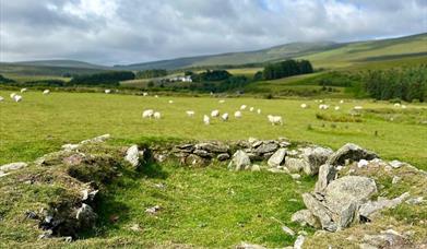 Walk in the Footsteps of Archibald Knox – Upper Sulby Valley