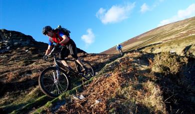 Mountain bikers decending the hills