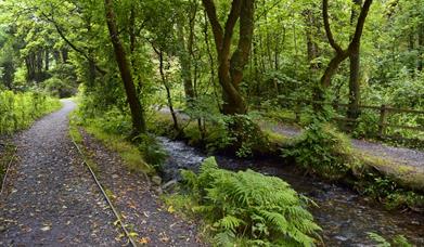 Port Soderick  Glen