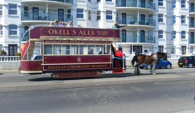 Isle of Man Holiday Apartment (Century Court)