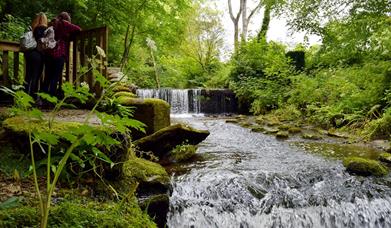 Railway Ramble: Ballasalla, Rushen Abbey, Silverdale Glen, Grenaby