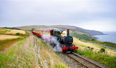 Steam Train