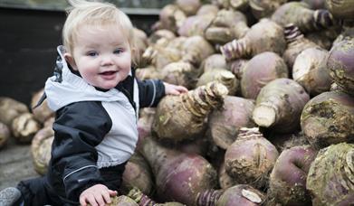 Tiny Turnips Festival