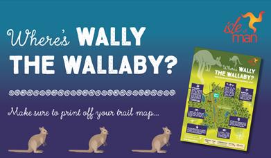 Where's the Wallaby?
