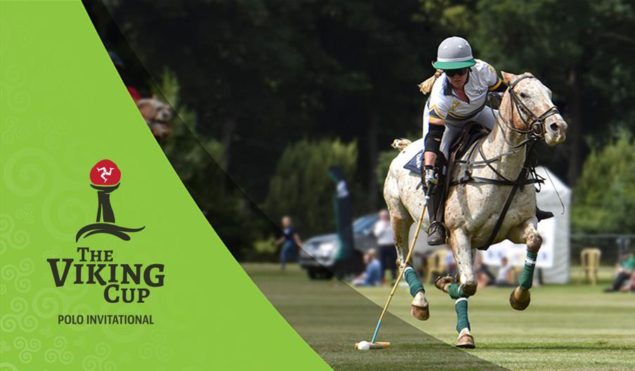 The Viking Cup