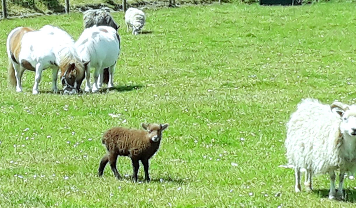 St Marks Country Park