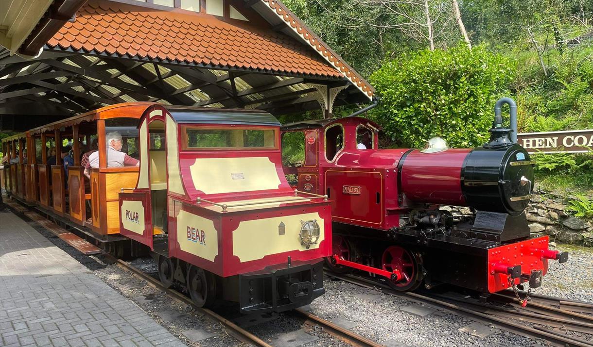 Diesel & Electric Day