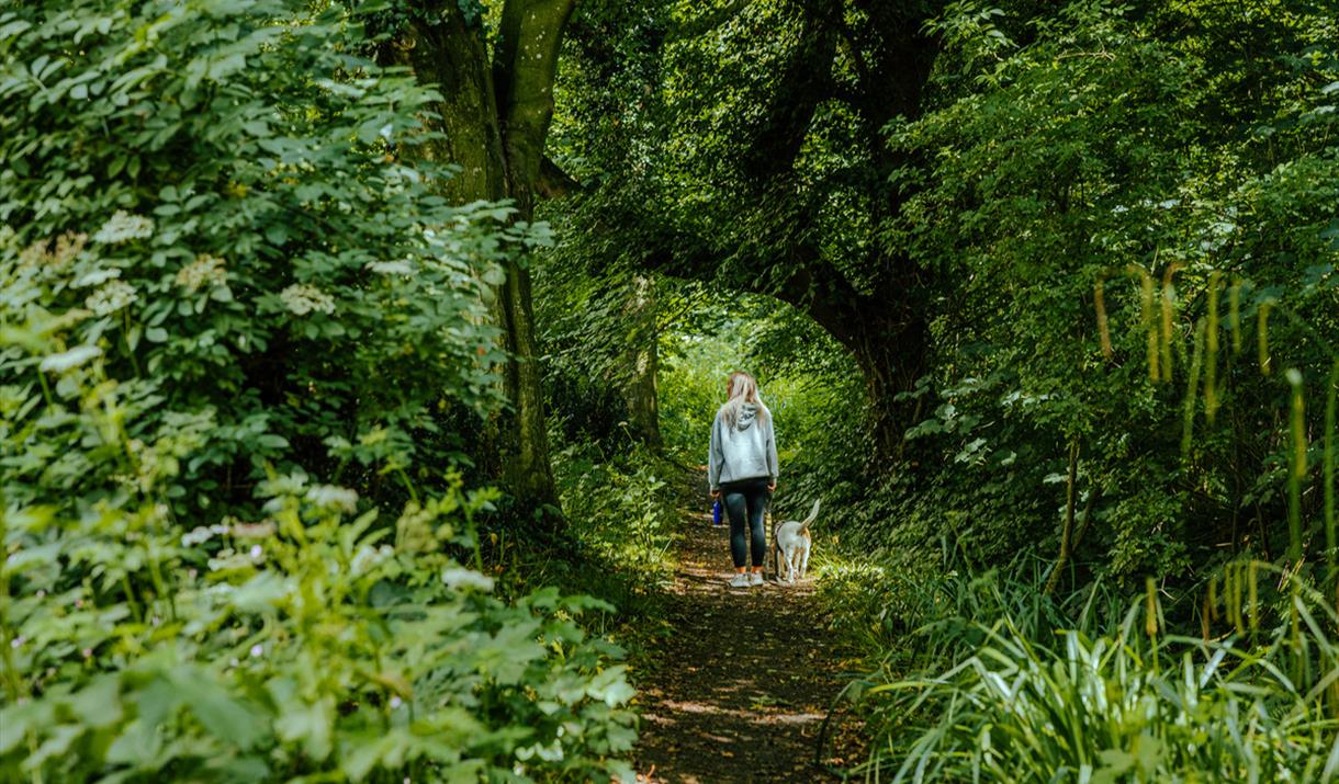 Bishopscourt Glen