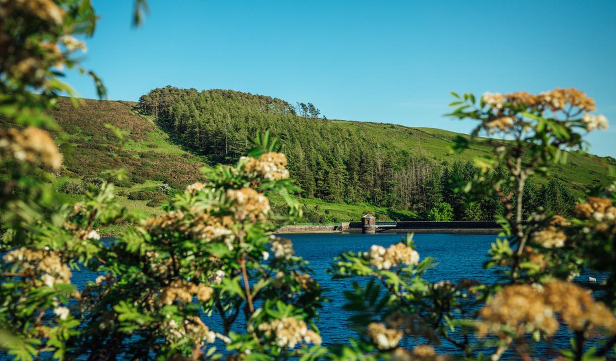 Sulby Reservoir