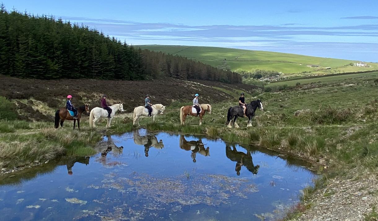 Ballahimmin Riding and Pony Trekking Centre