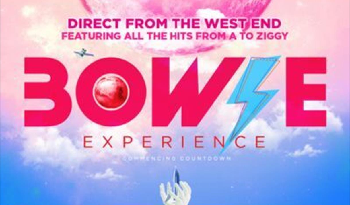 The Bowie Experience
