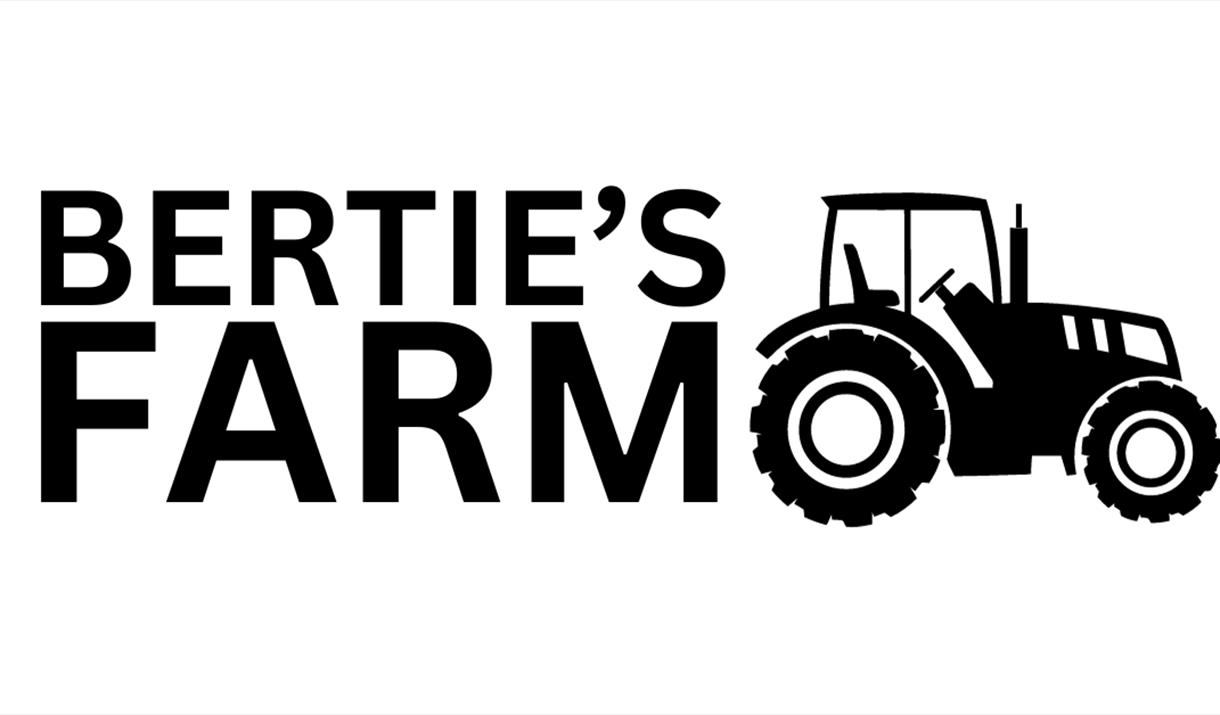 Bertie's Farm Pumpkin Festival