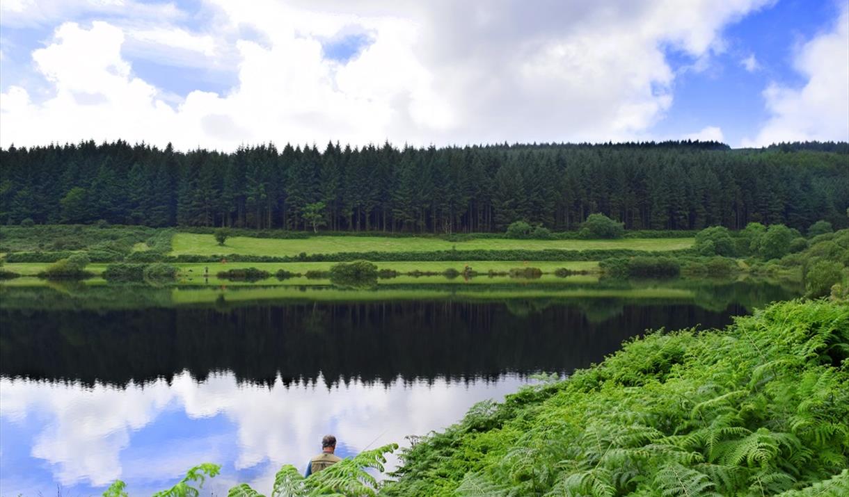 Cringle Reservoir