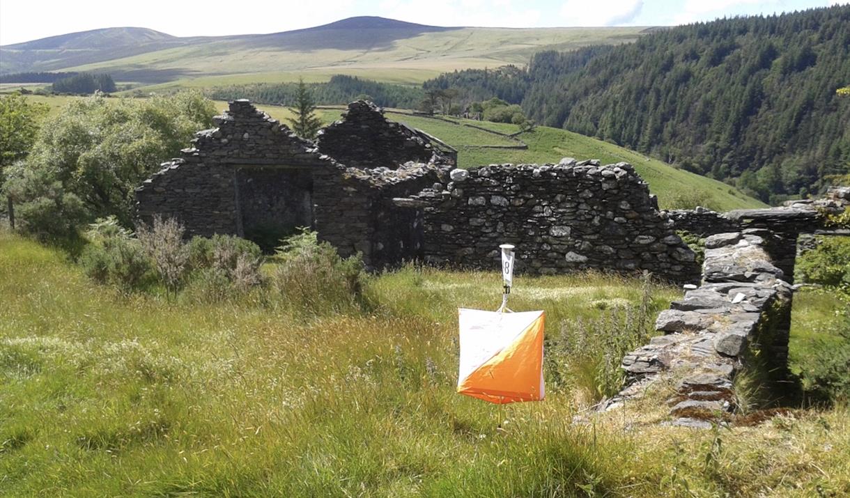 Isle of Man Orienteering Klubb Autumn Challenge Orienteering Event - Tholt y Will Forest & Glen Area