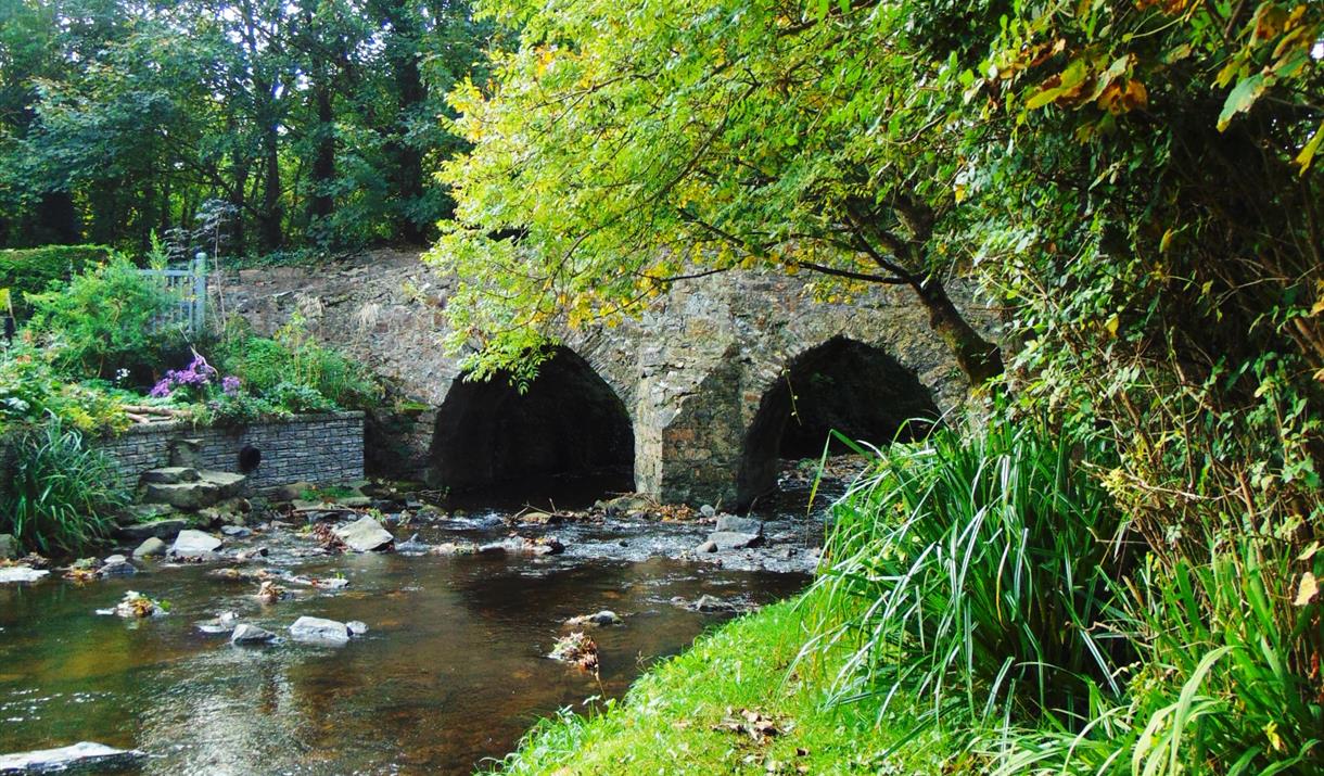 Silverdale Glen