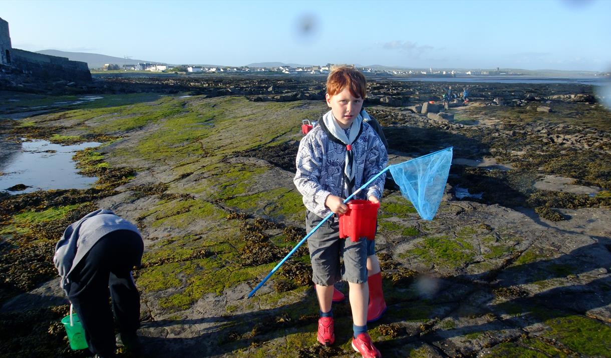 Beach Ranger