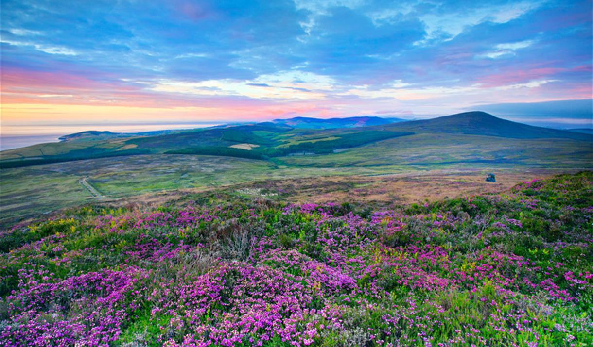 Evening Light on Cronk Ny Arrey Laa