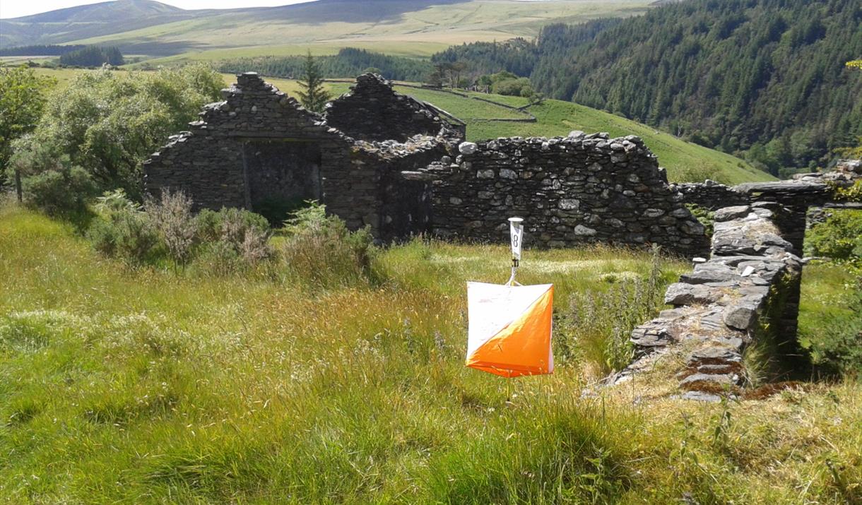 Isle of Man Orienteering Klubb - 'The 7 Kingdoms Isle of Man' Orienteering Event - Archallagan Forest.